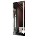Modern Interior Design With Full Length Mirror Dark Brown Walls Sofa And Green Plant