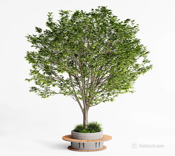 Outdoor Lush Green Tree In Circular Wooden Tree Planter With Grass 3d model 