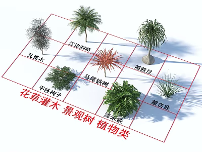Riverside thorn kwai wine bottle orchid peacock wood horsetail iron tree Mongolian leek flat branch cotoneaster ze rice iron flowers shrubs landscape trees plants 3d model