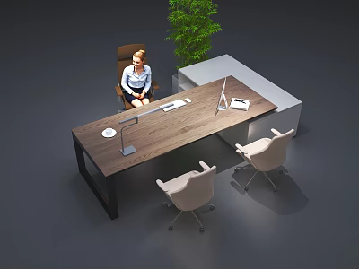 Wooden Office Desk With Lamp Laptop Folder Three Chairs And Green Plant 3d model