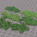 Lush Green Moss Growing on Gray Pebble Ground in Scattered Natural Pattern