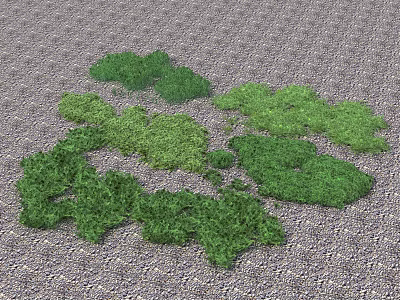 Lush Green Moss Growing on Gray Pebble Ground in Scattered Natural Pattern 3d model
