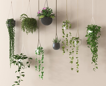 Hanging Basket Green Plant Pot Hanging Basket Combination Flower Plant Hanging Plant Hanging Pot Hanging Pot 3d model