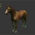 Brown Horse Standing With Shiny Coat And White Mane Against Dark Background