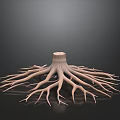3D Rendered Arbor Stump with Extensive Root System on Dark Reflective Surface