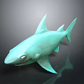 Turquoise 3D Shark Model With Smooth Surface On Black Reflective Base