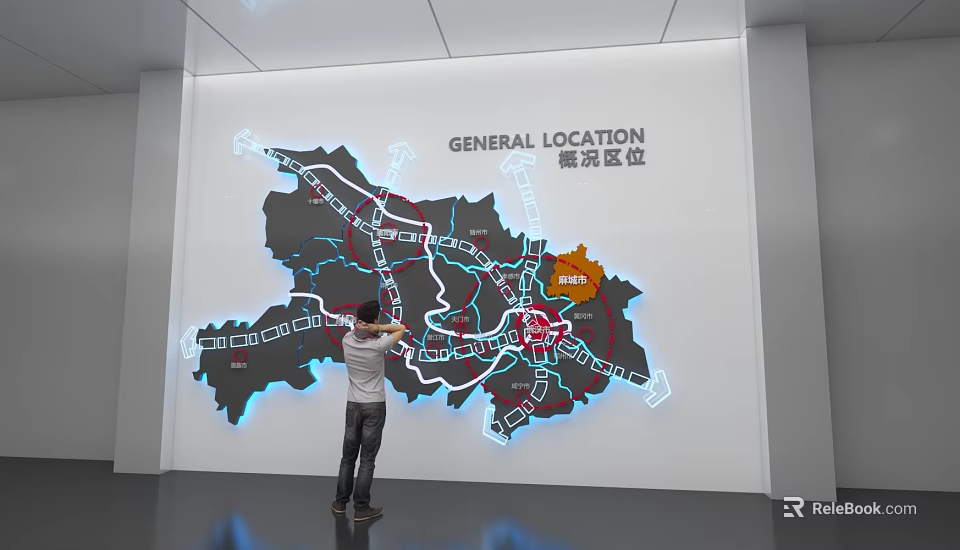 Person Viewing General Location Map With Roads And Area Markers On Wall 3d model 