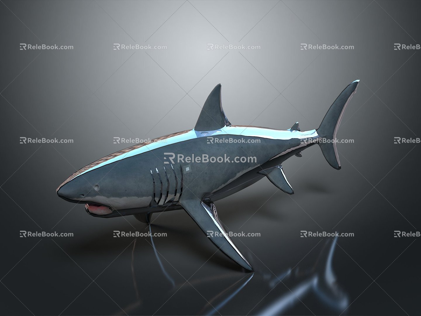 Modern shark great white shark whale shark hammerhead shark 3d model