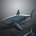 Realistic Gray Shark With Streamlined Body Open Mouth Marine Aquatic Animal