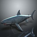 Modern shark great white shark whale shark hammerhead shark 3d model