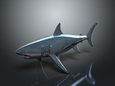 Modern shark great white shark whale shark hammerhead shark 3d model