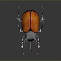 3D Rendered Beetle With Orange Red Body Gray Horned Head Slender Legs On Dark Background