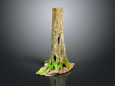 Natural Wooden Tree Stump Decor With Moss Covered Stone Base And Fallen Leaves 3d model