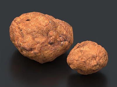 Fresh Brown Truffle Food With Natural Rough Surface Two Pieces 3d model