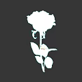 Beautiful Red Rose with Green Stem and Fresh Leaves on Grey Background