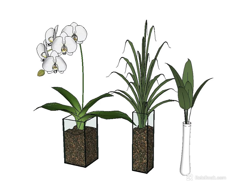 Three Decorative Vases With White Orchid Flowers And Green Leaf Plants 3d model 