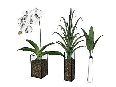 Three Decorative Vases With White Orchid Flowers And Green Leaf Plants 3d model
