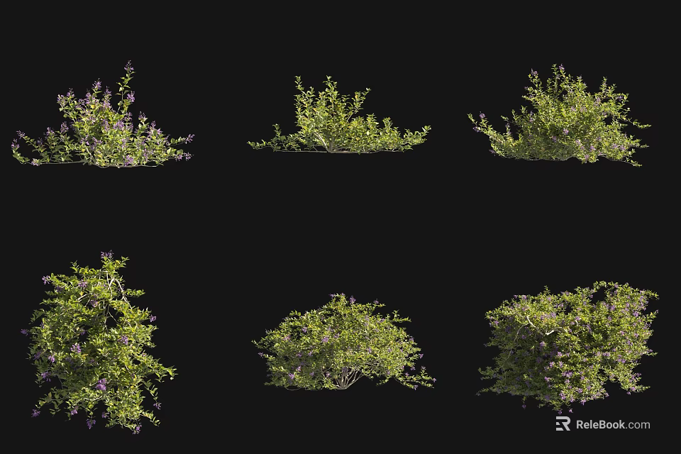 Diverse Green Shrubs Collection Featuring Various Forms And Purple Flowers 3d model