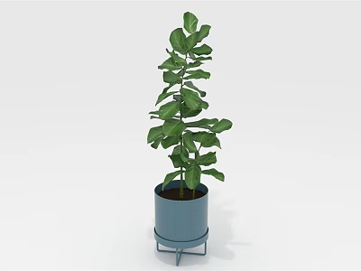Green Indoor Plant With Large Leaves In Blue Pot On Metal Stand 3d model