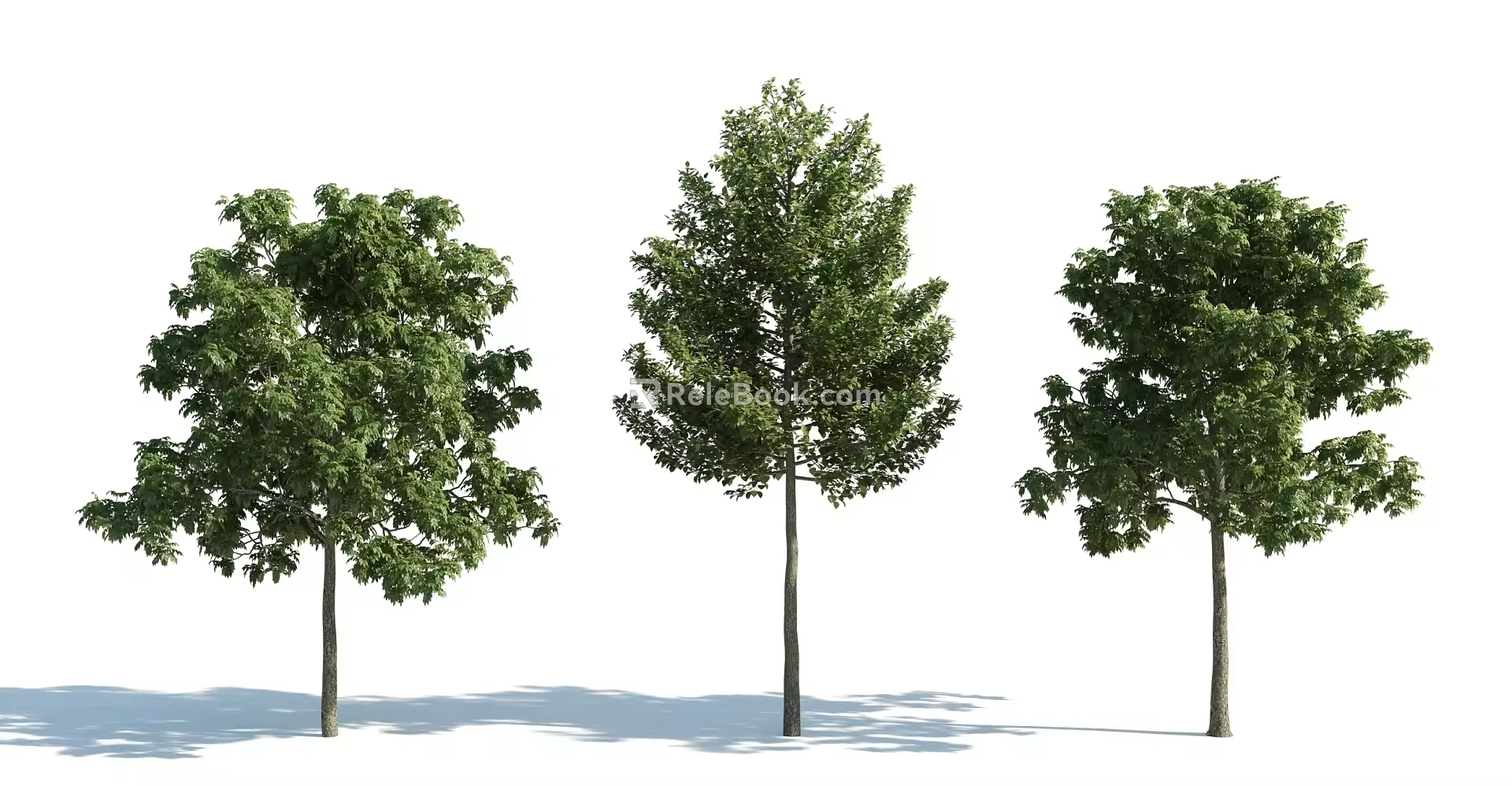 The Modern Tree 3d model