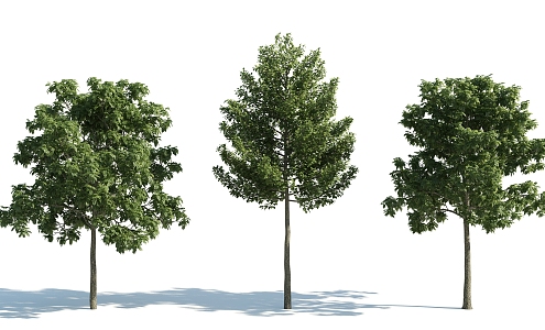 The Modern Tree 3d model