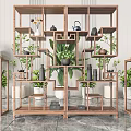 Multi Tiered Wooden Chinese Antique Display Shelf With Teapots Vases And Green Plants