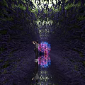 Lavender Plant Combination Forming Tunnel With Colorful Flowers And Water Reflection