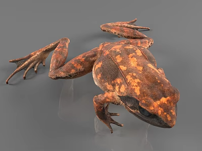 Detailed Reptile 3D Model With Brown Orange Spots On Gray Background 3d model