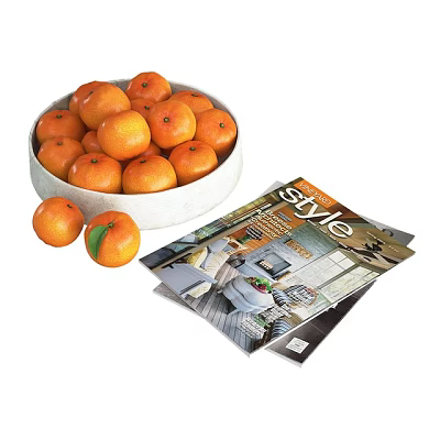 Decorative Ornament Set With Bowl Of Fresh Oranges And Style Magazines For Home 3d model