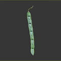 Long Vertical Green Pod Like Structure With Cylindrical Segments Stem On Gray Background And Shiny Reflection