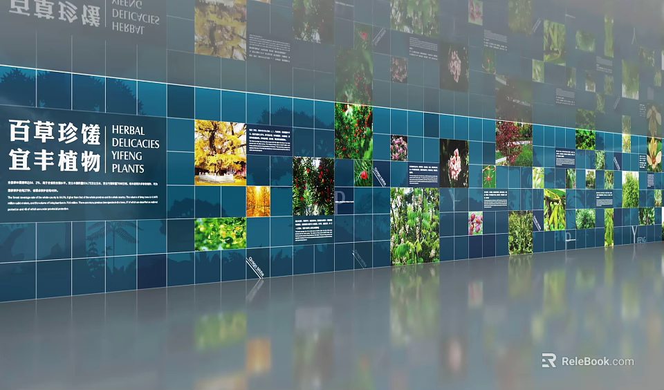 Green Plants Display Wall With Blue Background And Multi Photo Collage 3d model 