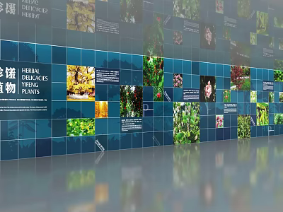 Green Plants Display Wall With Blue Background And Multi Photo Collage 3d model