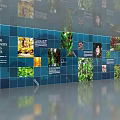 Green Plants Display Wall With Blue Background And Multi Photo Collage