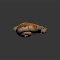 3D Rendered Snail With Spiral Brown Shell And Light Brown Textured Body