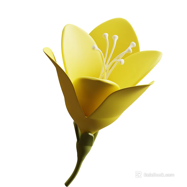 Beautiful Blooming Yellow Flower with Vibrant Petals White Stamens and Green Stem 3d model 