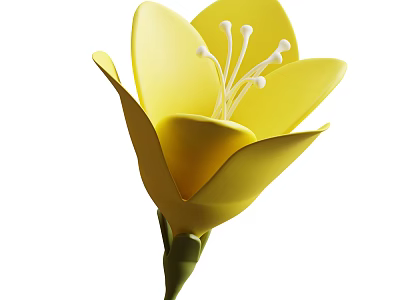 Beautiful Blooming Yellow Flower with Vibrant Petals White Stamens and Green Stem 3d model