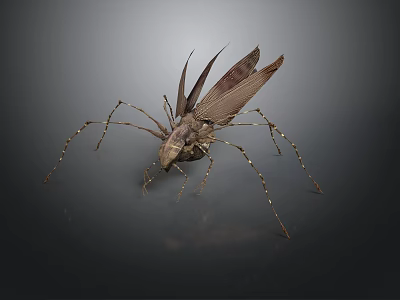 Close Up View Of Brown Insect With Long Legs And Textured Winged Body 3d model