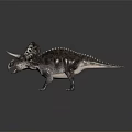 Realistic Triceratops Dinosaur Model With Large Horns Frilled Head And Spiked Back