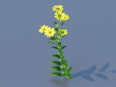 Lush Green Leaves With Tall Stem And Cluster Of Yellow Flowers On Gray Background 3d model