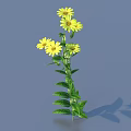 Lush Green Leaves With Tall Stem And Cluster Of Yellow Flowers On Gray Background