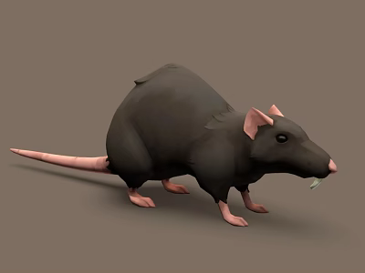 Realistic 3D Model of Black Rat With Pink Tail Paws and Standing Pose 3d model