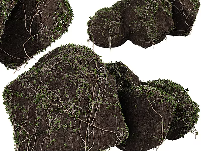 Bonsai Potted Plant with Exposed Roots Lush Green Vines and Natural Soil for Home Decor 3d model