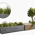 Bonsai and Potted Green Plants in Gray Concrete Planter with Grasses Shrubs and Wooden Bench