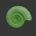Conch Bone Snail Field Snail 3d model
