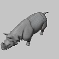 Rhinoceros Game Movie Character Realistic 3D Model With Detailed Skin And Horn