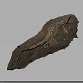 Ancient Well Preserved Dinosaur Fossil Skeleton Structure On Stone Slab