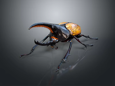 Rhinoceros Beetle With Large Horn And Black Orange Body On Dark Background 3d model
