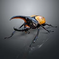 Rhinoceros Beetle With Large Horn And Black Orange Body On Dark Background