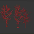 Three Leafless Trees With Bare Trunks And Branches On White Background