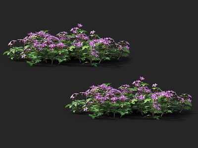 Modern flowers flowers and plants 3d model